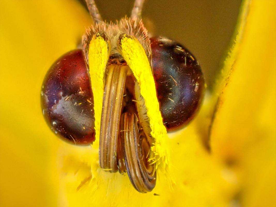 Konya’nın ünlü bahçesindeki detaylar tüyler ürpertti: İyi ki küçükler 17